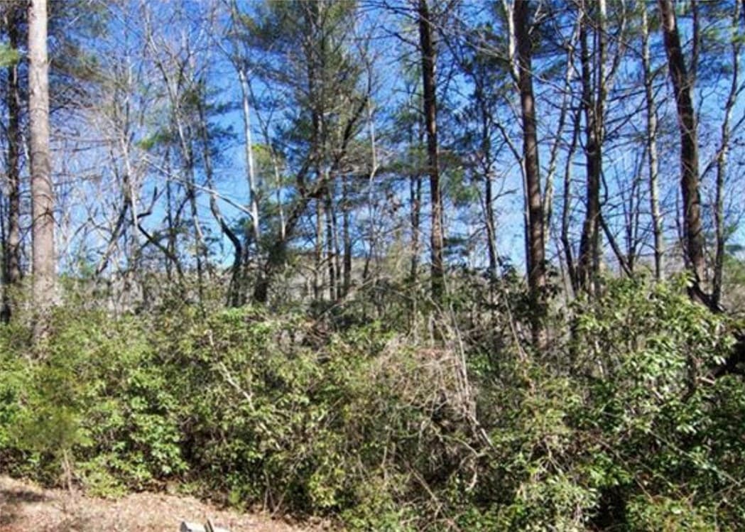 Property image 2 at 375 Gauley Falls Road, Pickens, SC 29671