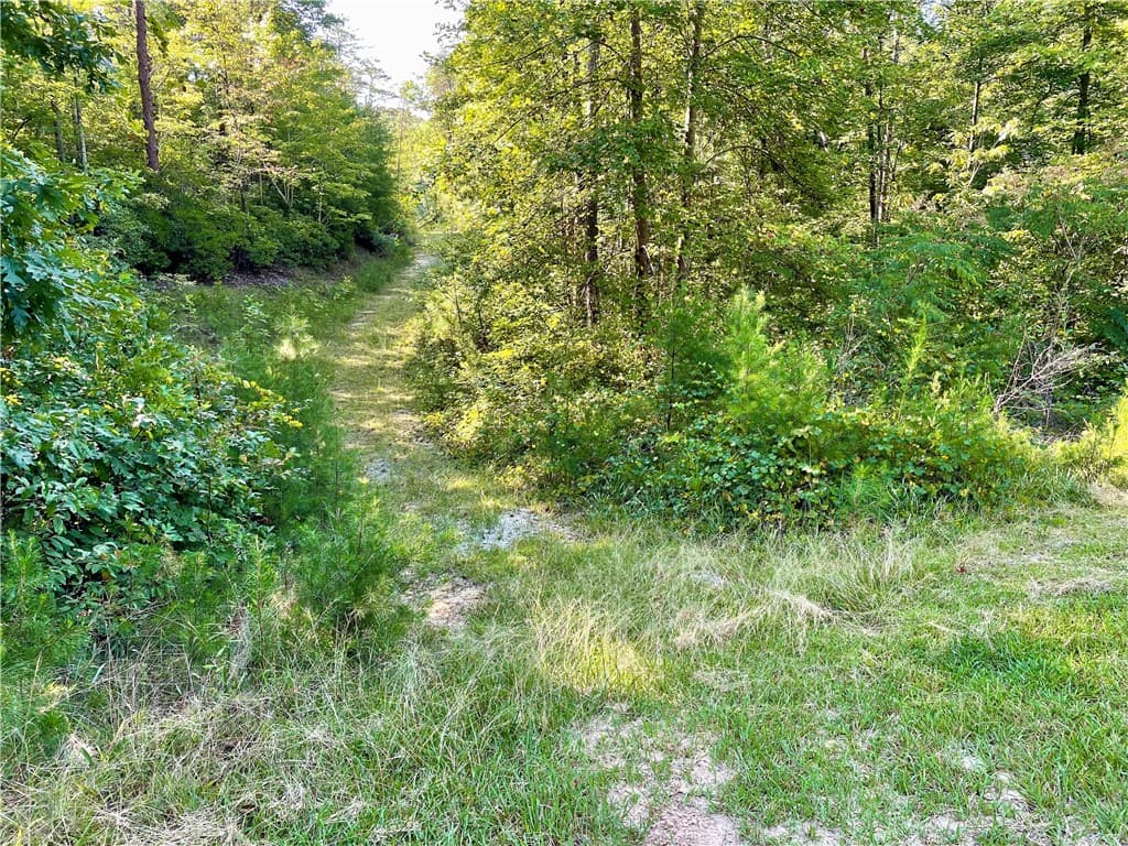 Property image 2 at 0 Stoney Creek Trail, Salem, SC 29676