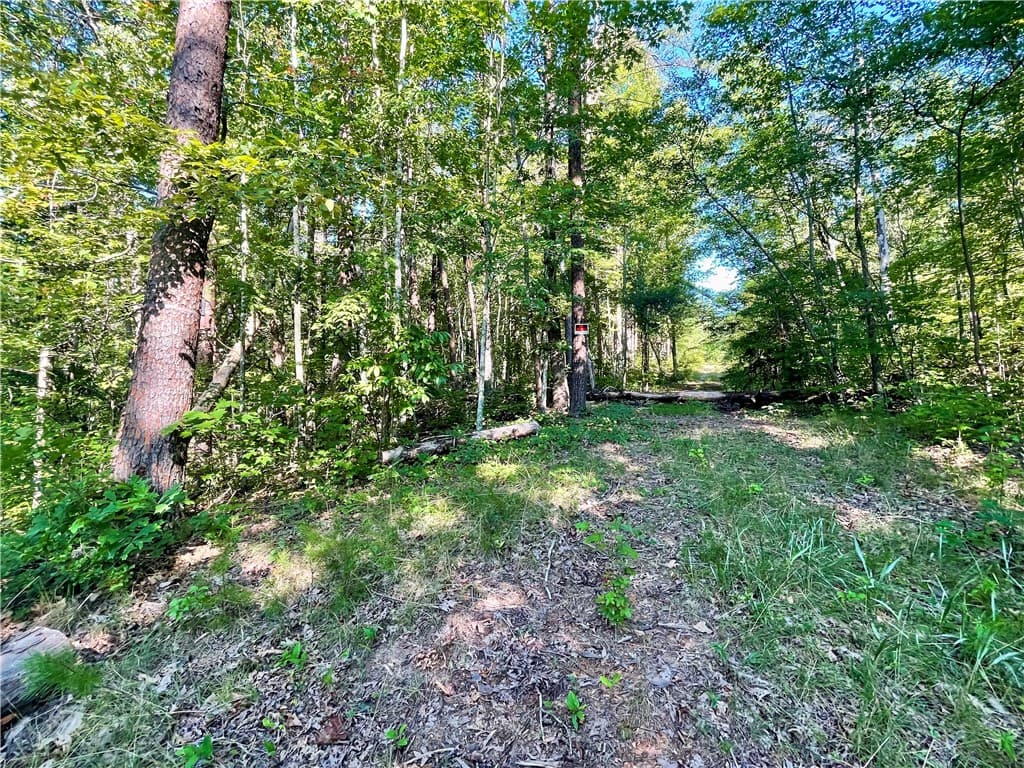 Property image 4 at 0 Stoney Creek Trail, Salem, SC 29676