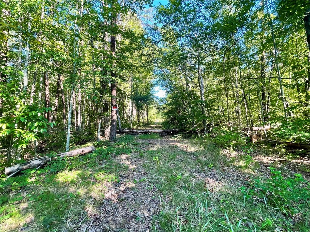 Property image 5 at 0 Stoney Creek Trail, Salem, SC 29676
