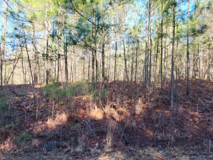 Property image 2 at Lot E 25 Pine Ridge Way, Salem, SC 29676