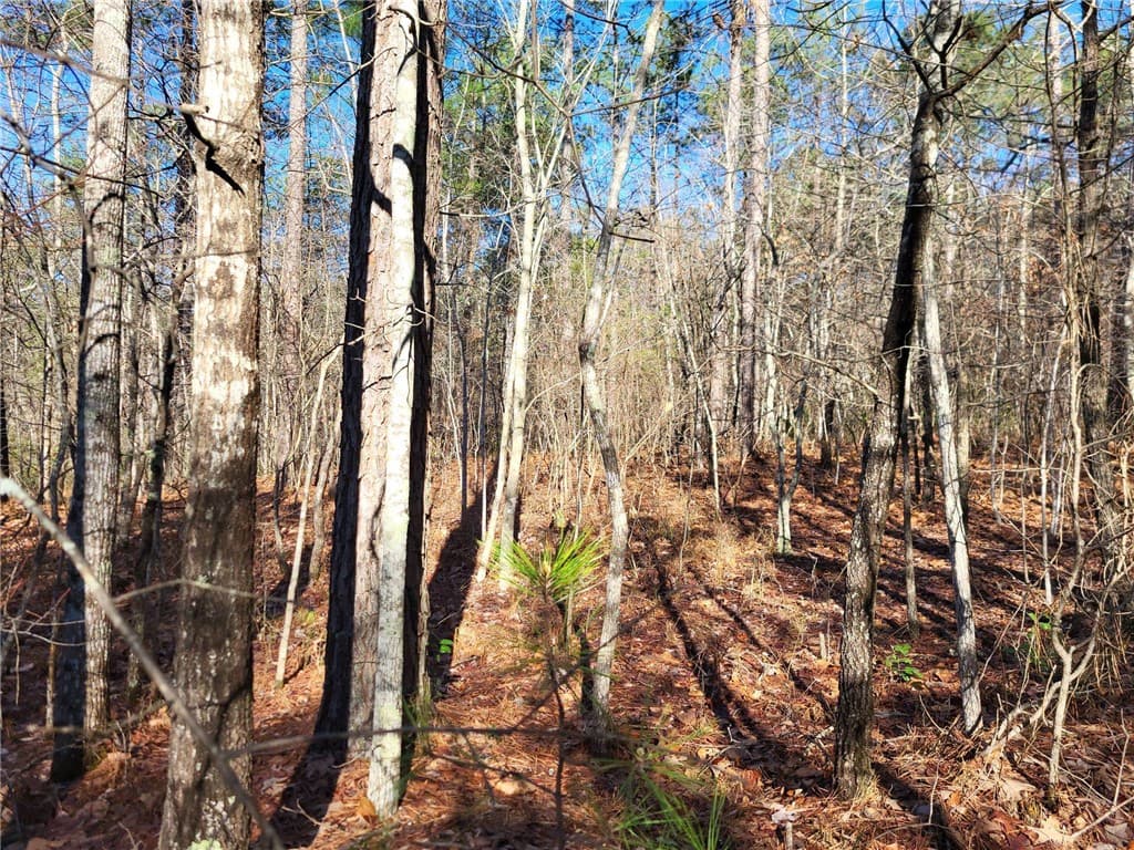 Property image 3 at Lot E 25 Pine Ridge Way, Salem, SC 29676