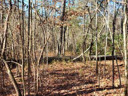 Property image 4 at Lot E 25 Pine Ridge Way, Salem, SC 29676