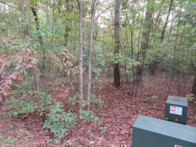 Property image 3 at 305 Whispering Falls Drive, Pickens, SC 29671
