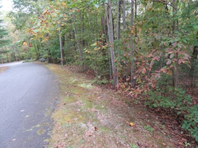 Property image 4 at 305 Whispering Falls Drive, Pickens, SC 29671
