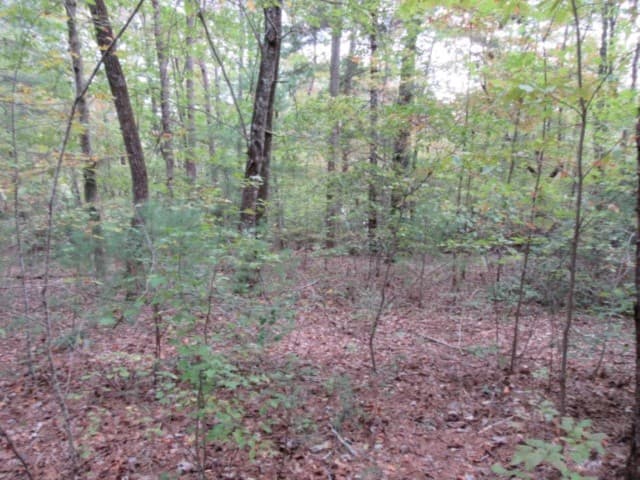 Property image 5 at 305 Whispering Falls Drive, Pickens, SC 29671