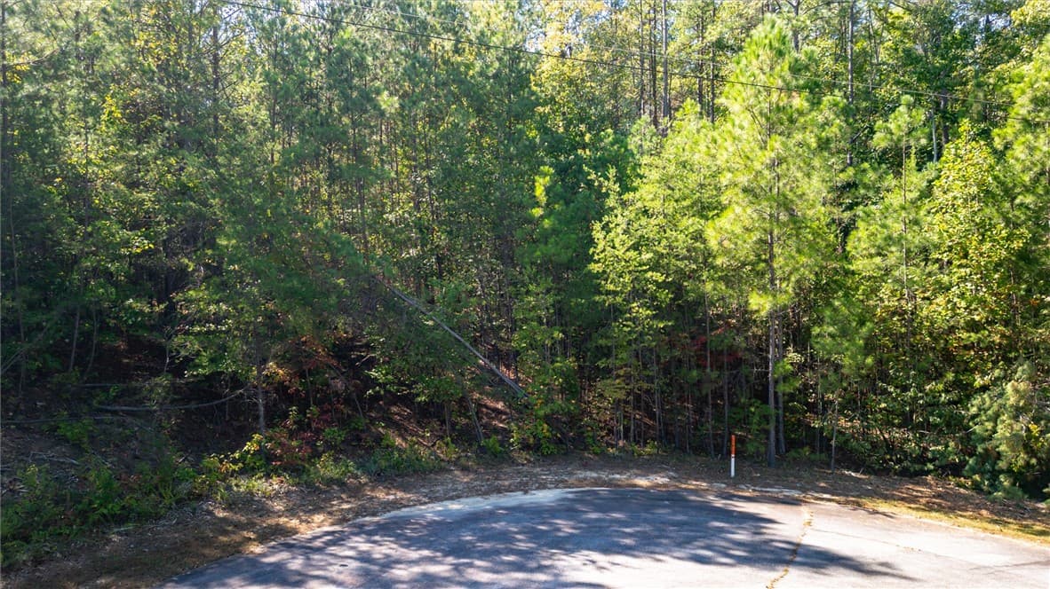 Property image 4 at 00 Meadow View Lane, Salem, SC 29676