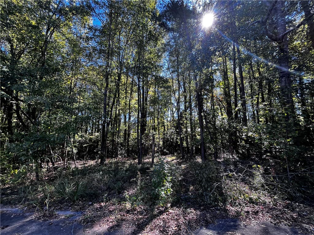 Property image 1 at 9 Brookvale Drive, Williamston, SC 29697