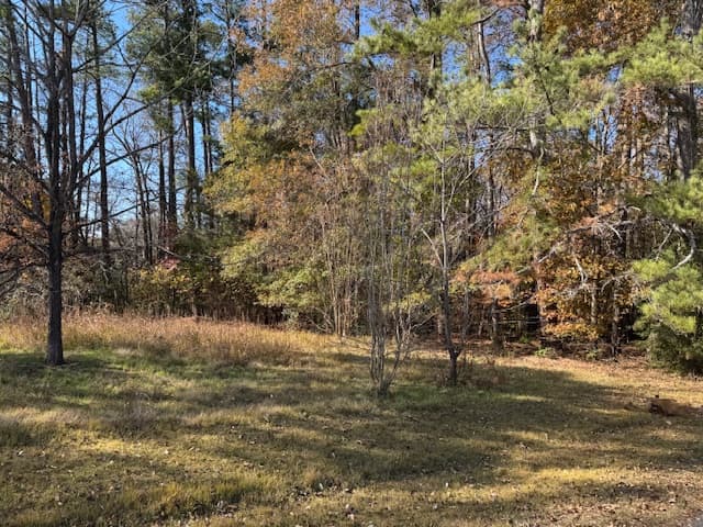 Property image 4 at Lot 48 Century Court, Pendleton, SC 29670