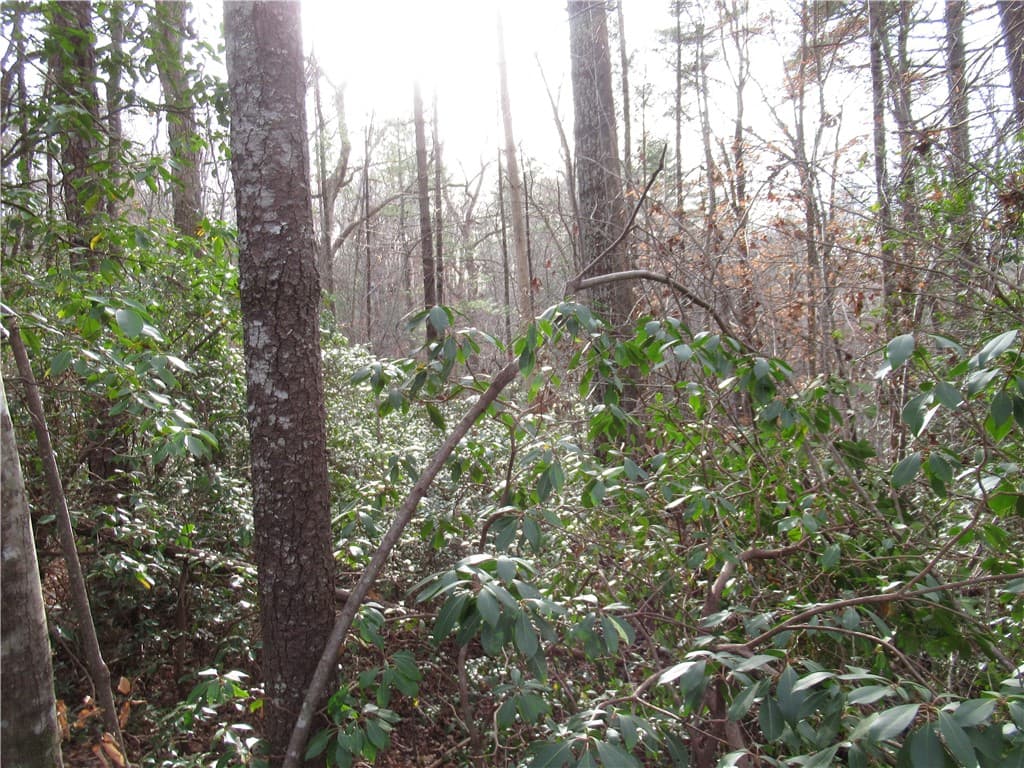 Property image 3 at 213 Falcon Crest Way, Pickens, SC 29671