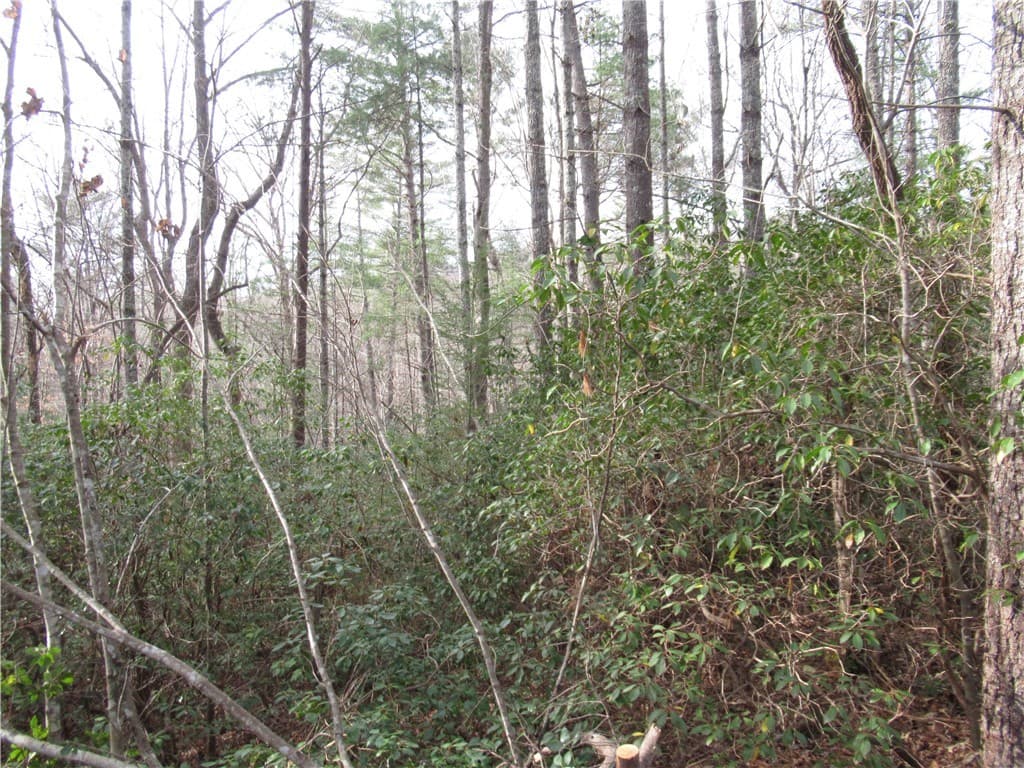 Property image 4 at 213 Falcon Crest Way, Pickens, SC 29671