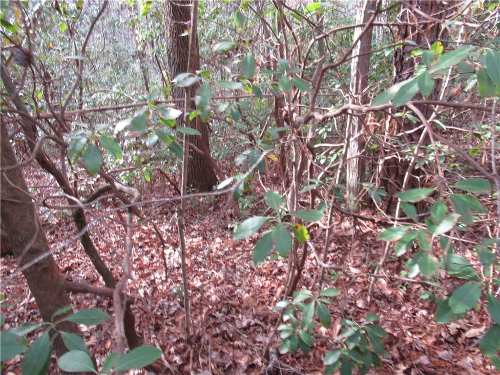 Property image 5 at 213 Falcon Crest Way, Pickens, SC 29671