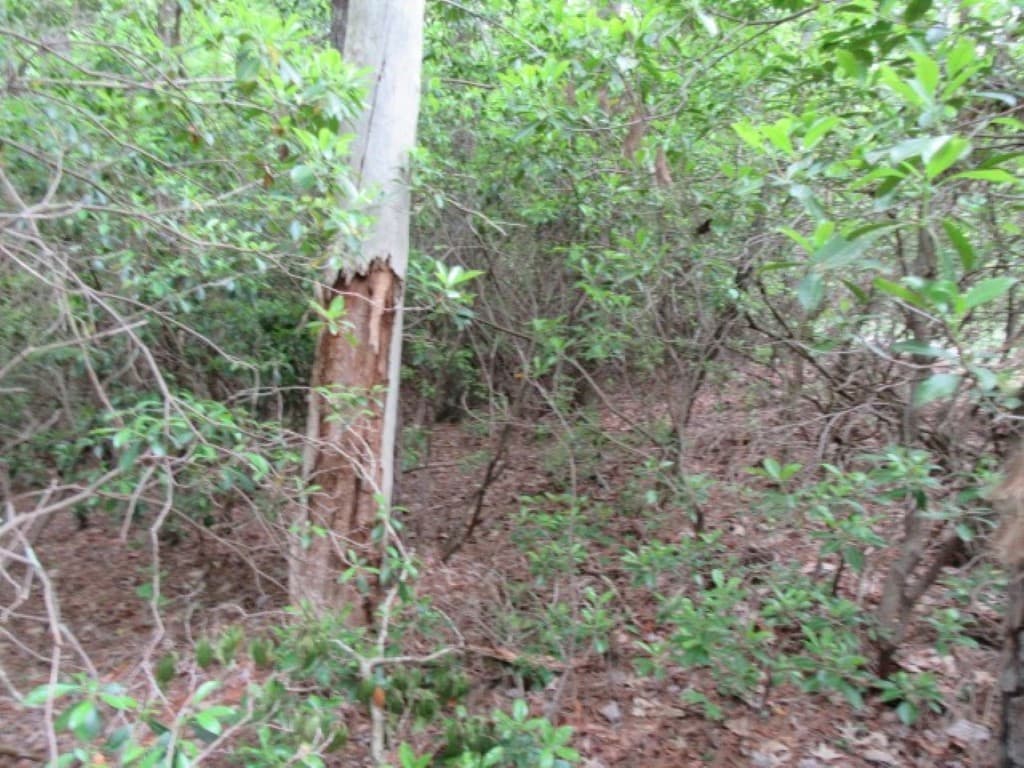 Property image 3 at 343 Gauley Falls Road, Pickens, SC 29671
