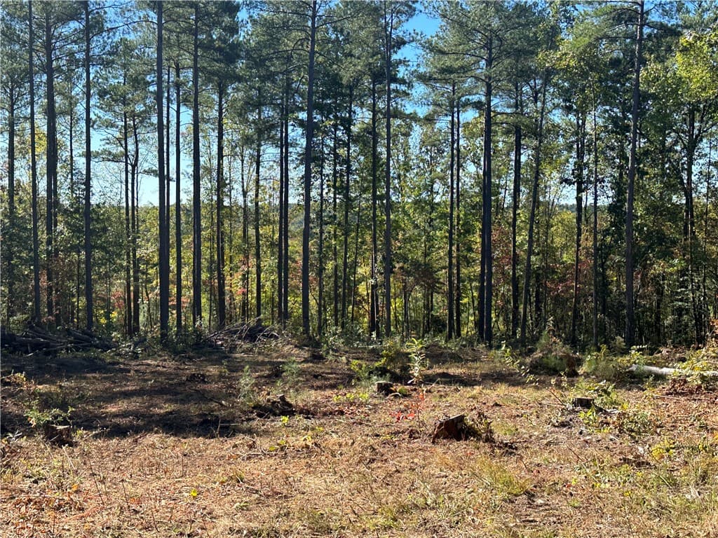 Property image 5 at Lot E29 Jocassee Ridge, Salem, SC 29676