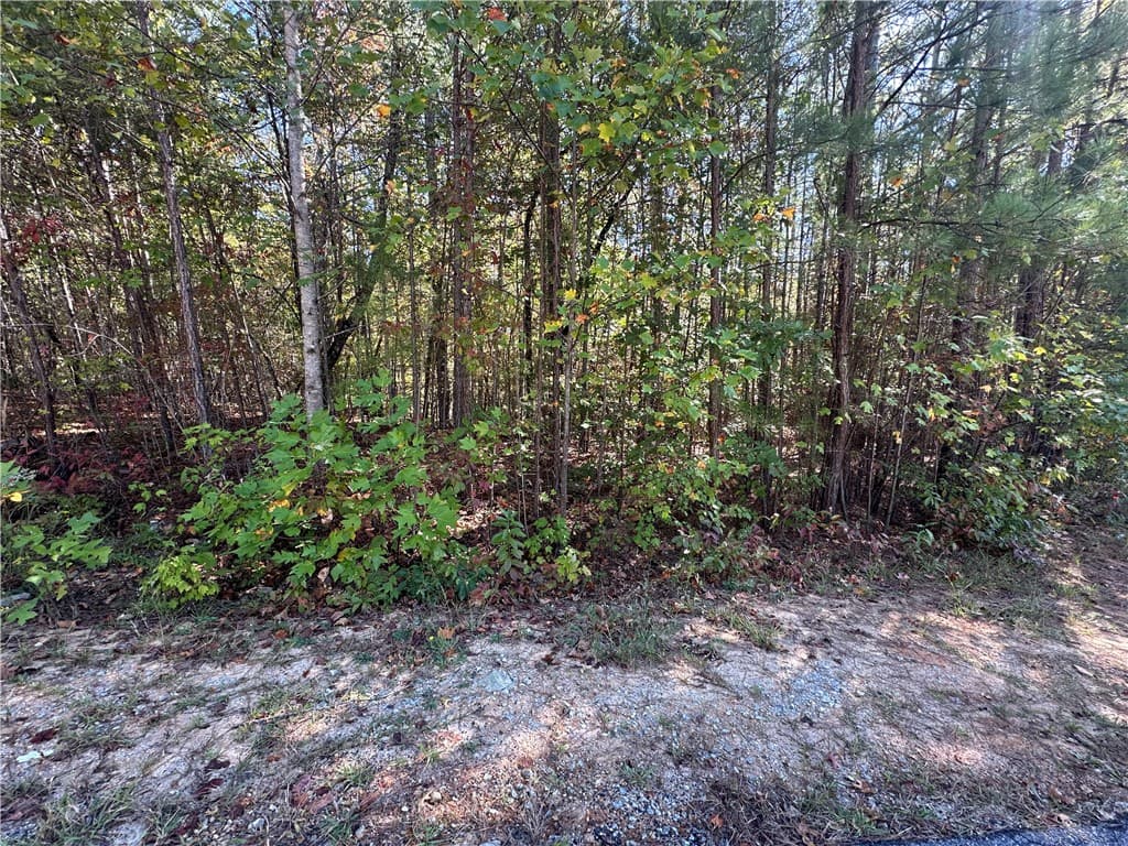 Lot E31 Jocassee Ridge