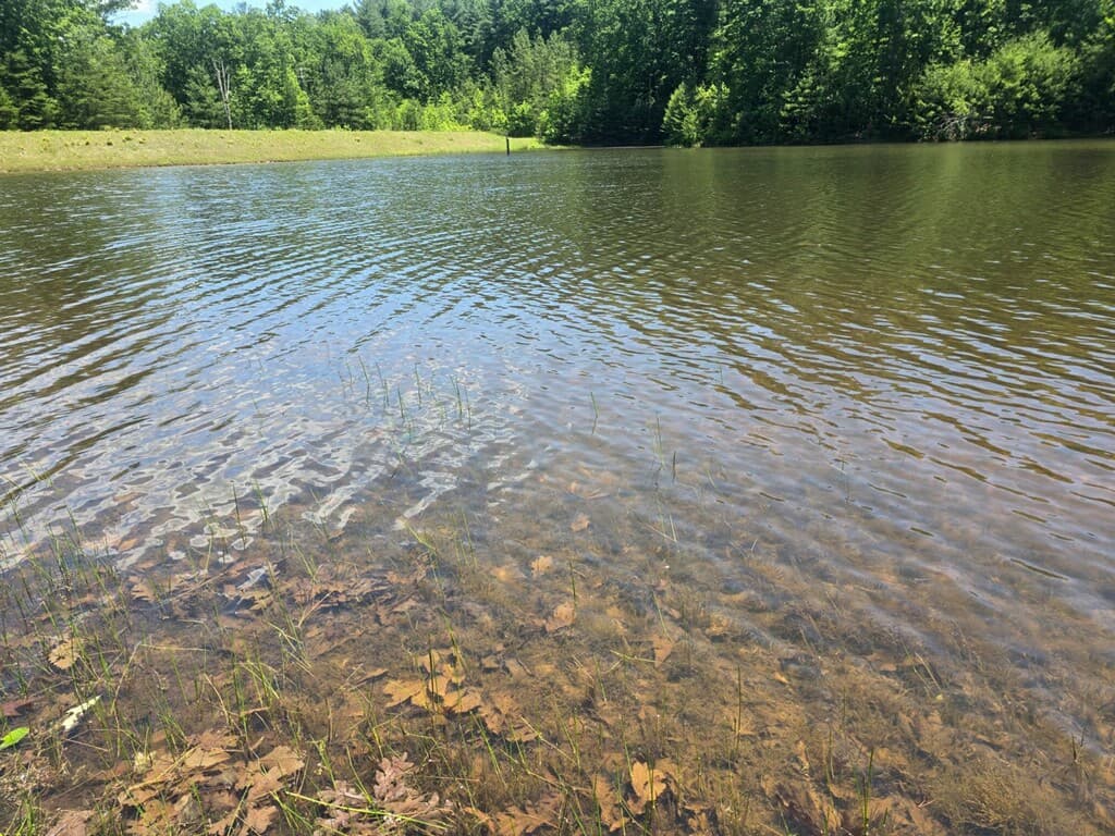 Property image 5 at Lot E31 Jocassee Ridge, Salem, SC 29676