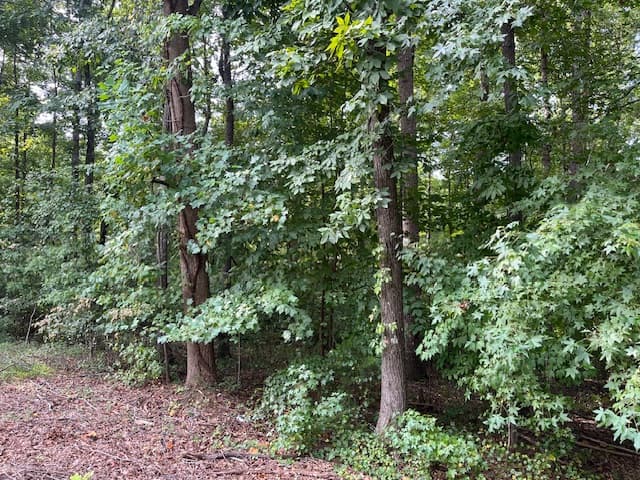 Property image 2 at 0 Sundew Drive, Westminster, SC 29693