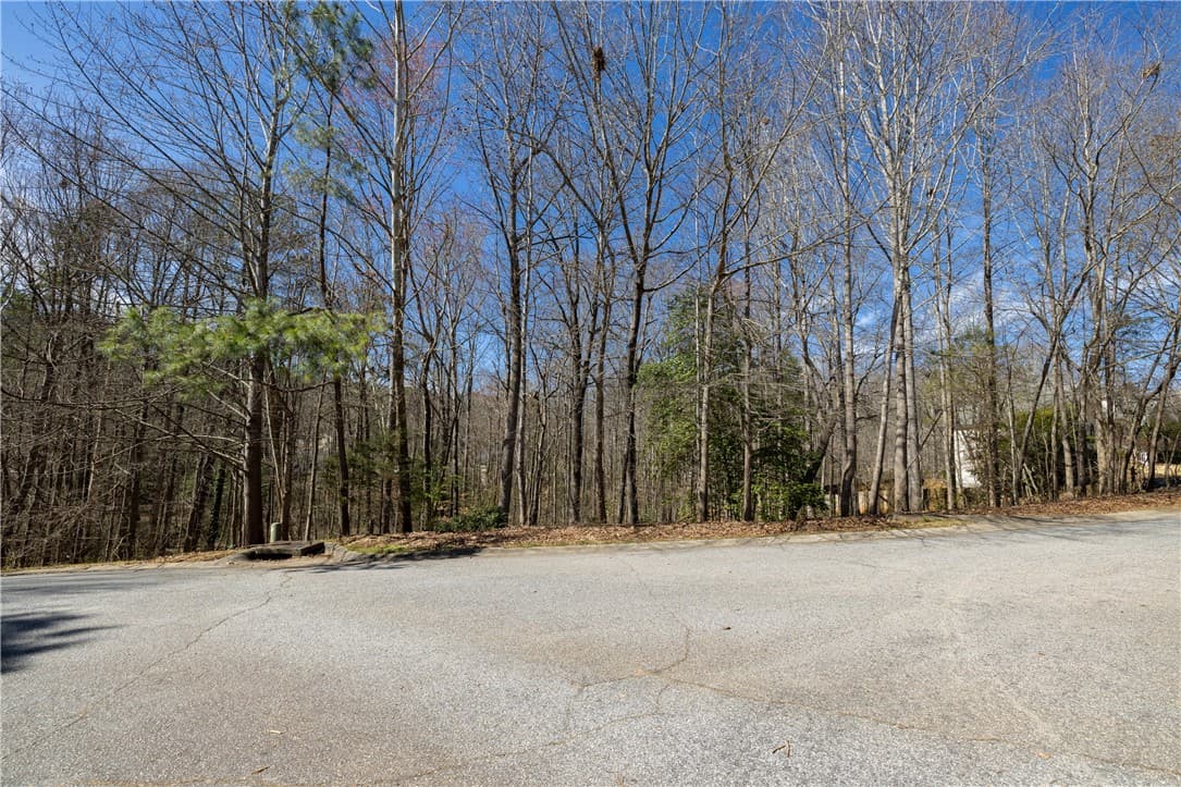 Property image 4 at 308 Brookstone Lot 11 Greystone Creek, Central, SC 29630