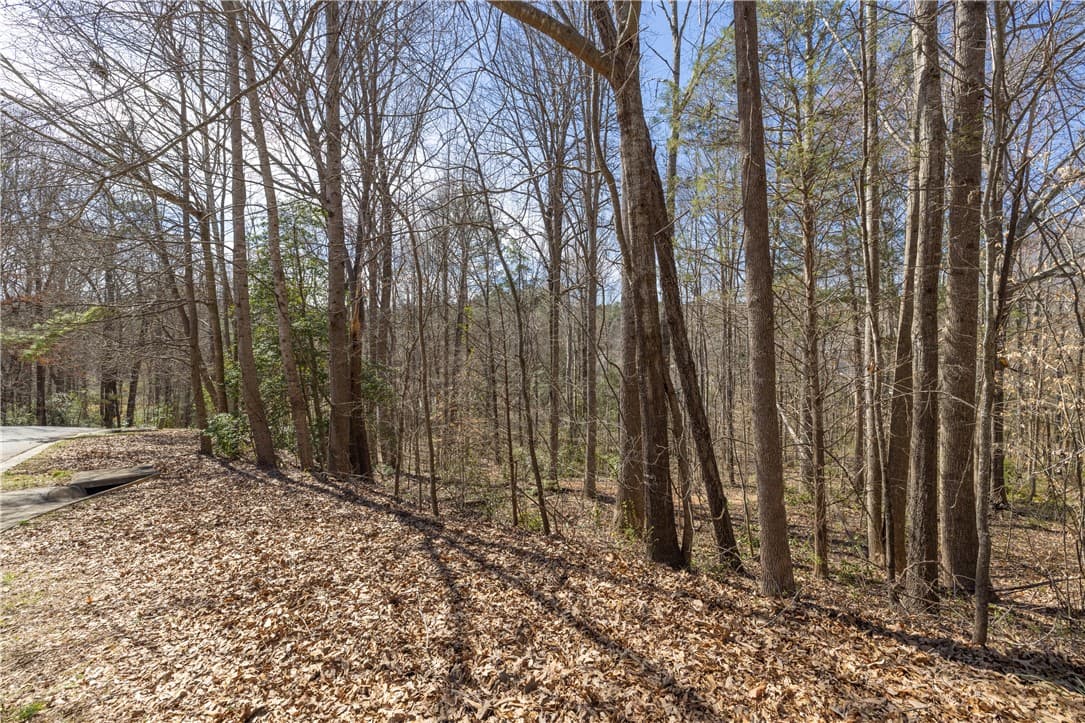 Property image 5 at 308 Brookstone Lot 11 Greystone Creek, Central, SC 29630
