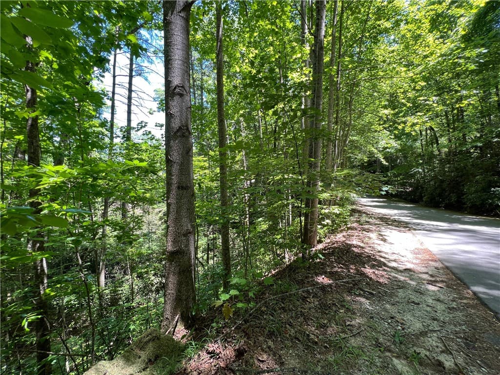 Property image 5 at Lot 51 Bay Ridge Drive, Salem, SC 29676