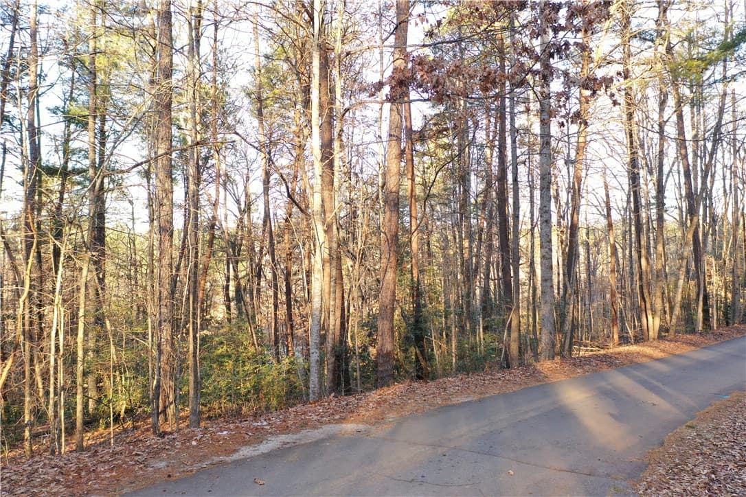 613 The Bear Boulevard