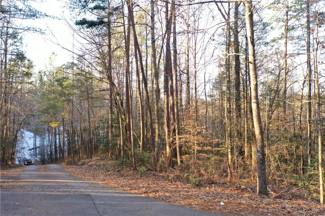 Property image 3 at 613 The Bear Boulevard, Tamassee, SC 29686