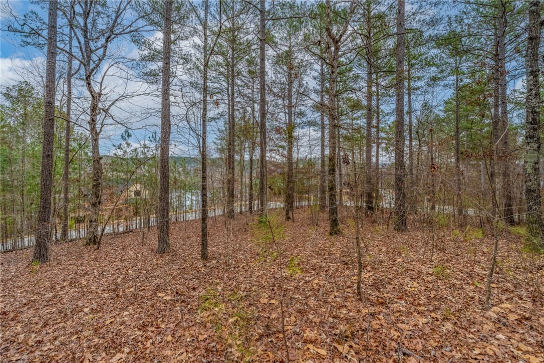335 Long Cove Trail