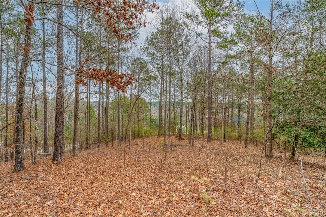 Property image 3 at 335 Long Cove Trail, Salem, SC 29676