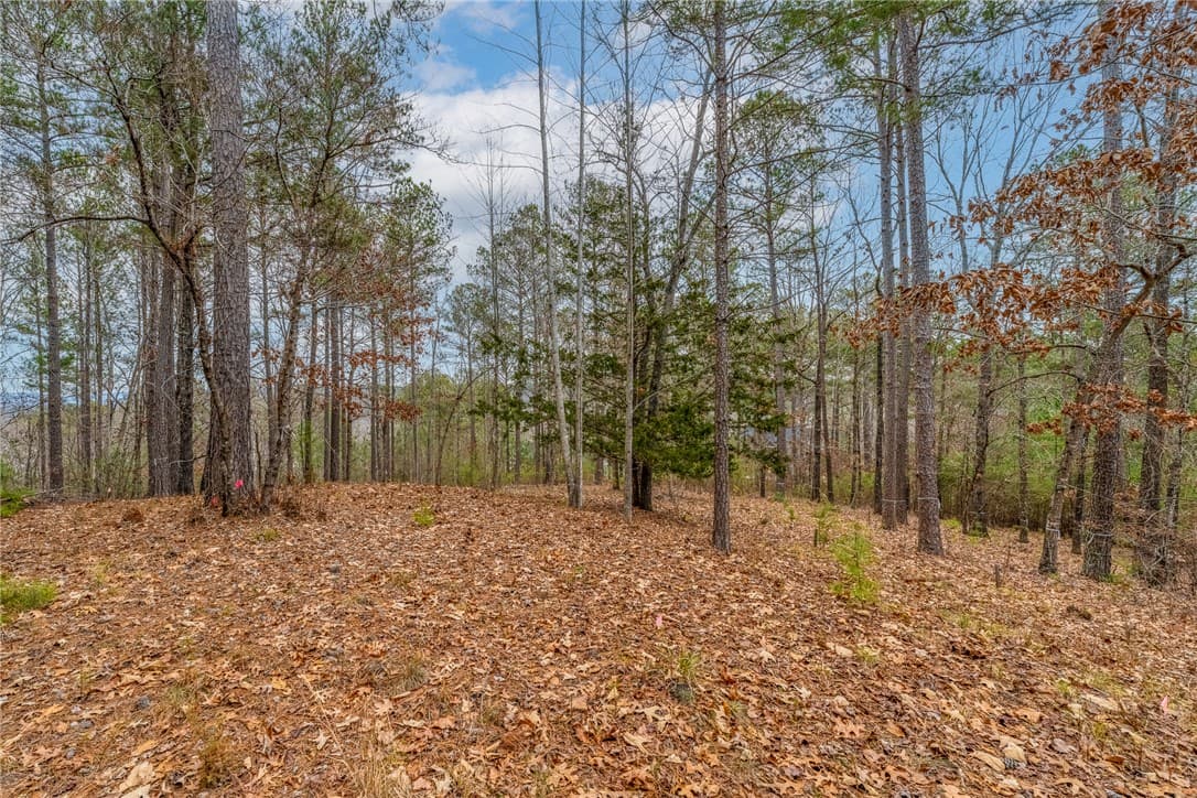 Property image 5 at 335 Long Cove Trail, Salem, SC 29676