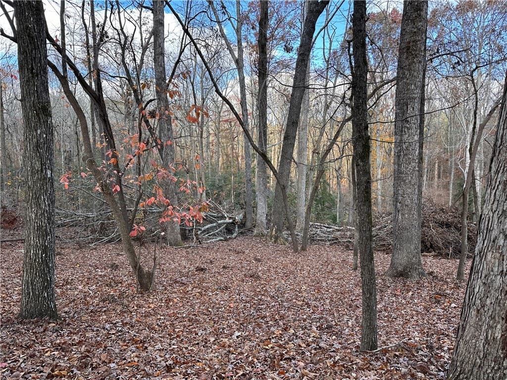 Property image 3 at 2602 Winding Brook, Anderson, SC 29621
