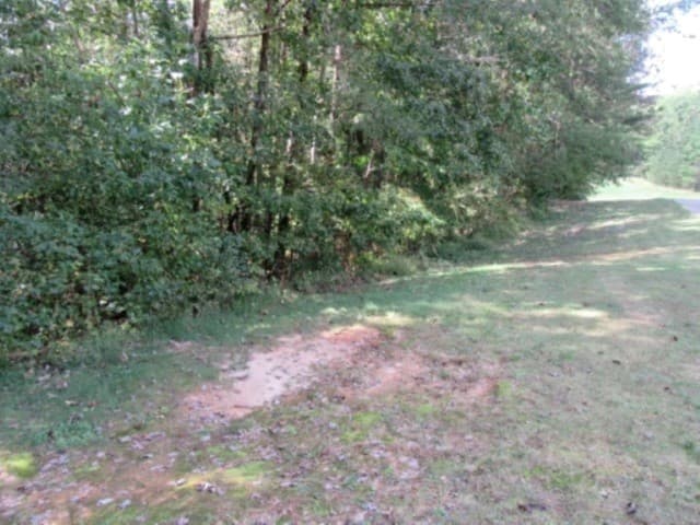 Property image 3 at 126 Hambys Way, Pickens, SC 29671