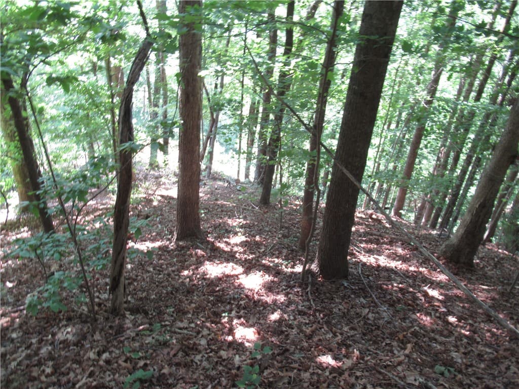 Property image 3 at 808 Whispering Falls Drive, Pickens, SC 29671