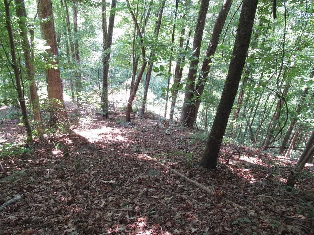 Property image 4 at 808 Whispering Falls Drive, Pickens, SC 29671