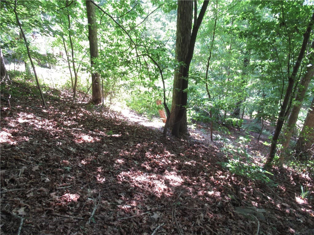 Property image 5 at 808 Whispering Falls Drive, Pickens, SC 29671