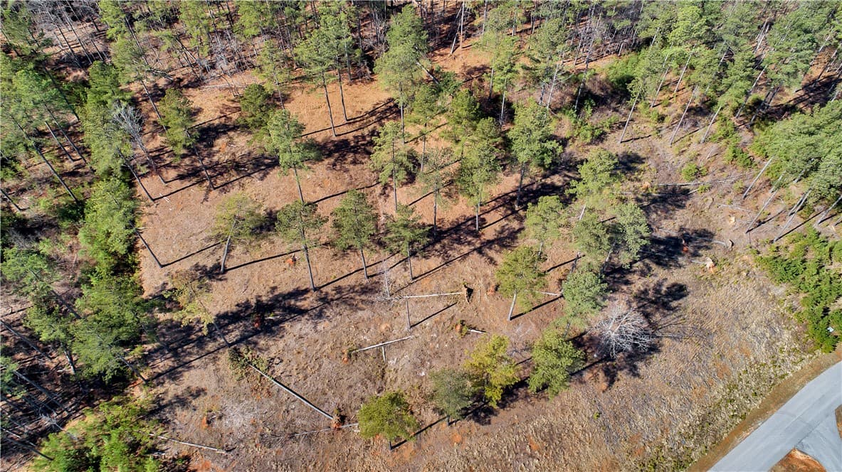 Property image 4 at 127 Coveside Lane, Six Mile, SC 29682