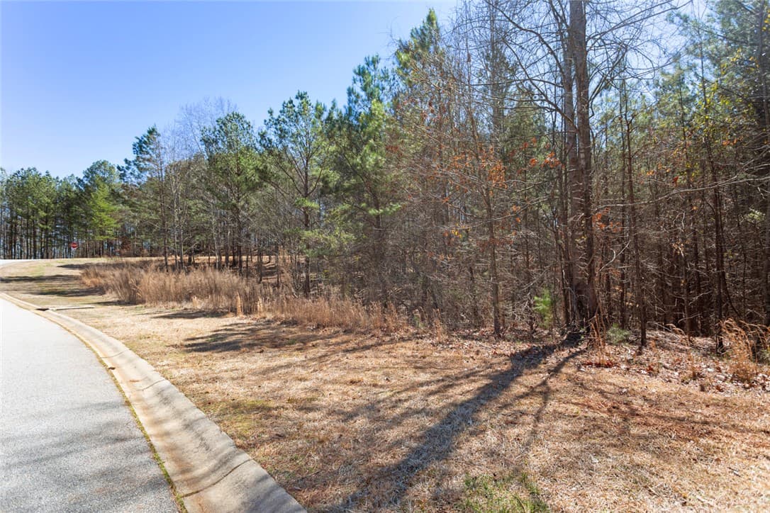 Property image 5 at Lot 219 Waterside Crossing High Ridge Dr, Seneca, SC 29672