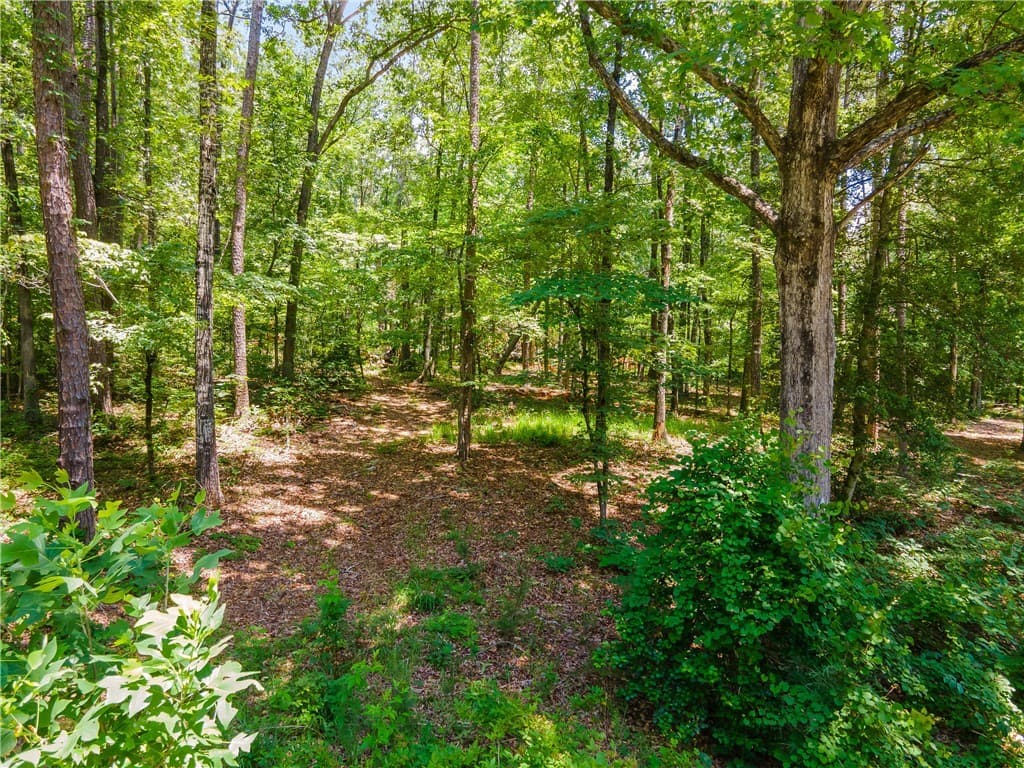 Property image 4 at Lot 24 Riverstone Rocky Springs Drive, Salem, SC 29676
