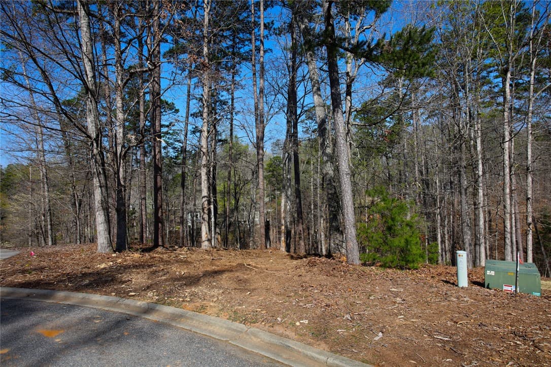 Property image 5 at Lot 211 Waterford Pointe, Seneca, SC 29672