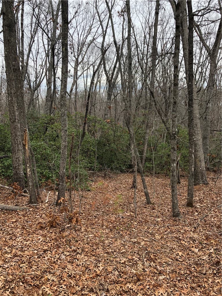 Property image 3 at 00 Eastview Drive, Pickens, SC 29671