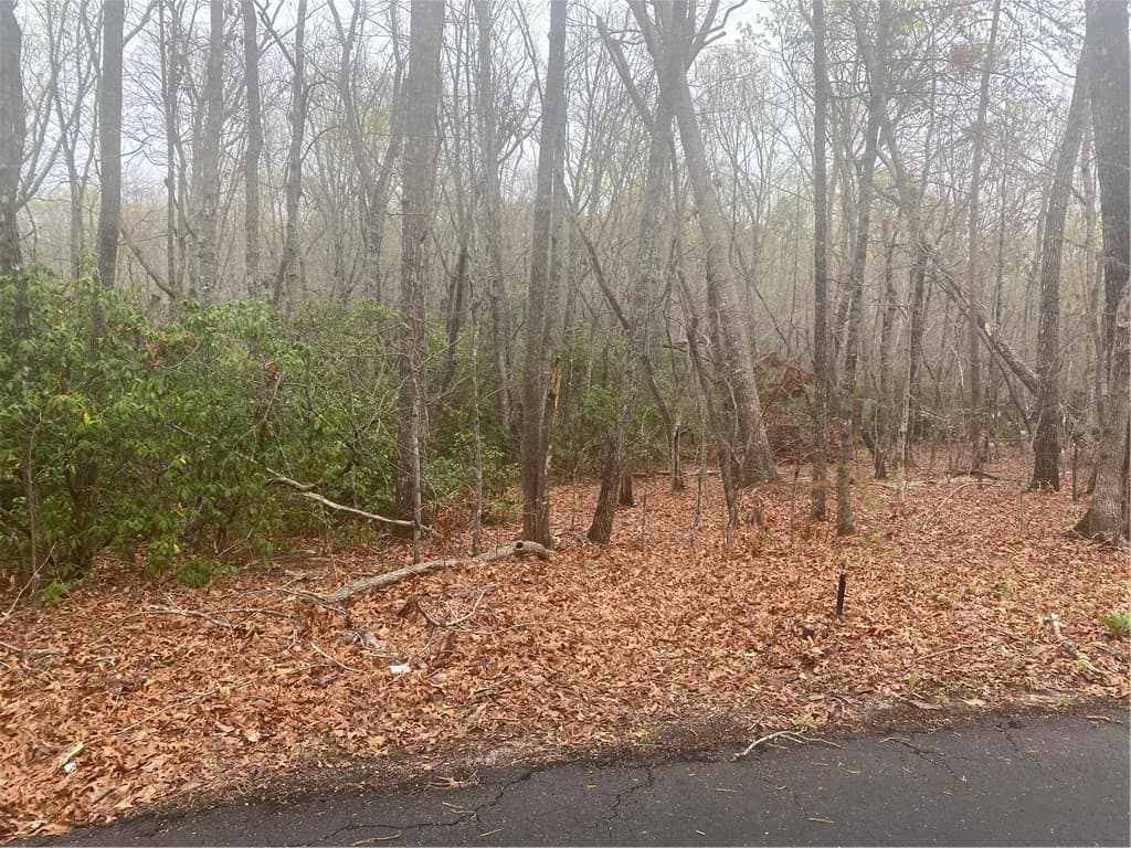 Property image 5 at 00 Eastview Drive, Pickens, SC 29671