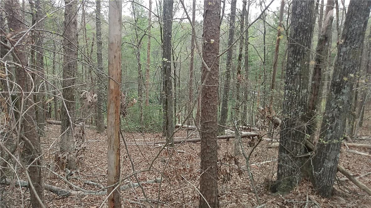 Property image 3 at 209 Bay View Drive, Salem, SC 29676