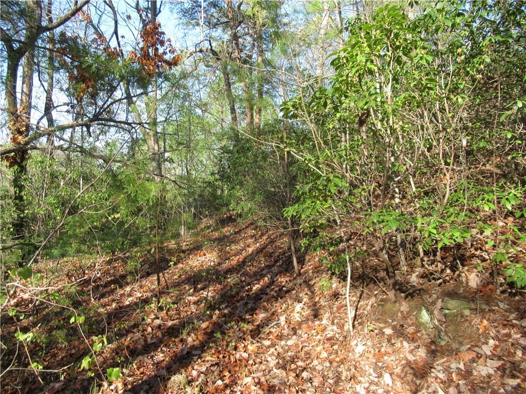Property image 5 at 139 Whispering Falls Drive, Pickens, SC 29671