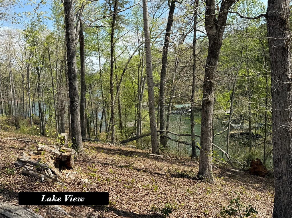 Property image 3 at 1112 Little River View Drive, Seneca, SC 29672