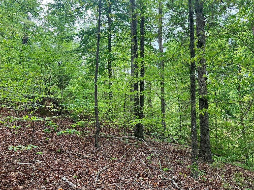 Property image 3 at 3003 Boulder Drive, Seneca, SC 29678