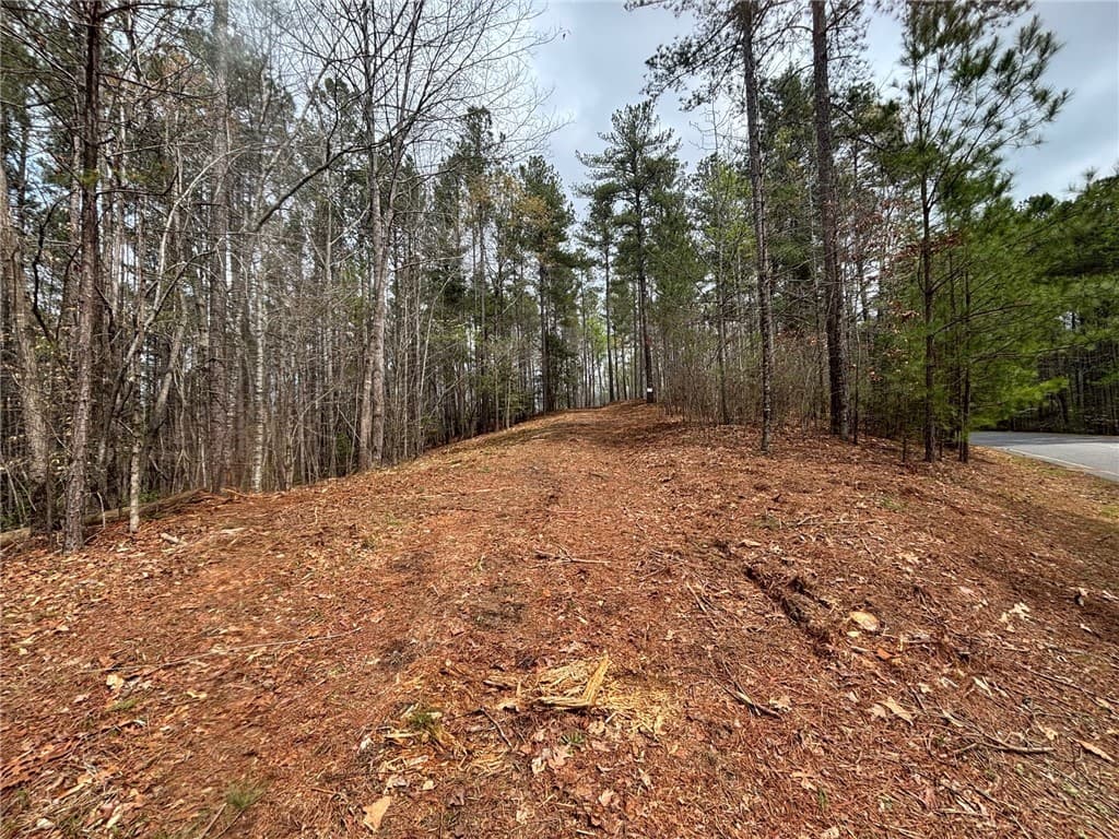 323 Long Cove Trail