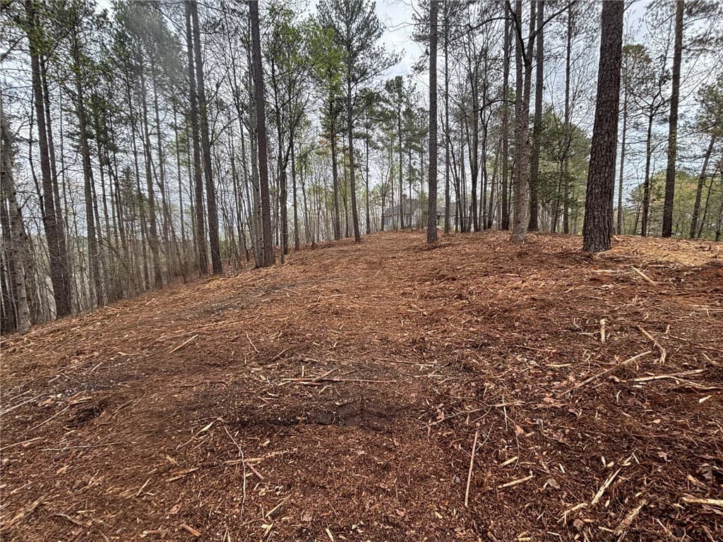 Property image 3 at 323 Long Cove Trail, Salem, SC 29676