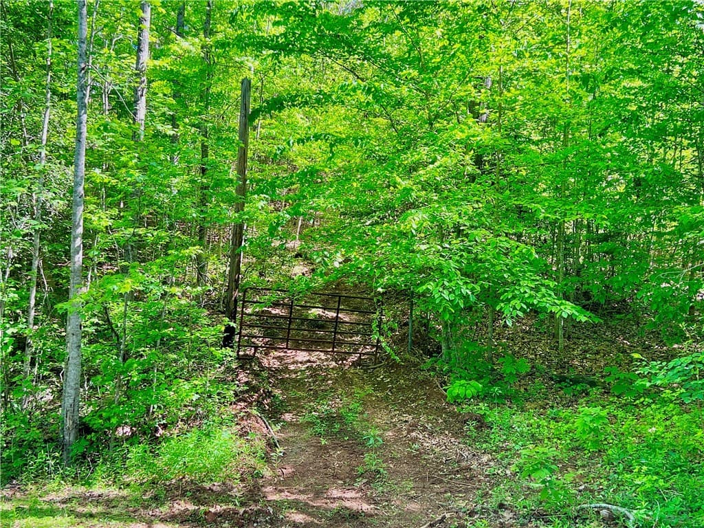Property image 1 at Tract Q The Bear Boulevard, Tamassee, SC 29686