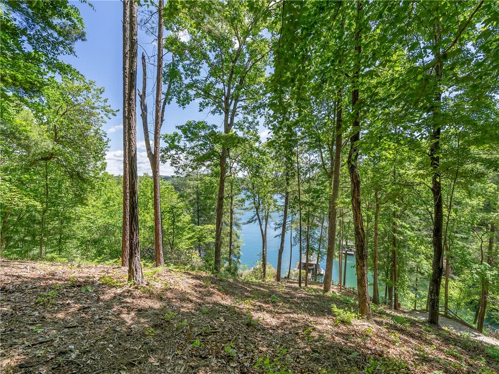 Property image 3 at 703 Misty Dawn Court, Salem, SC 29676
