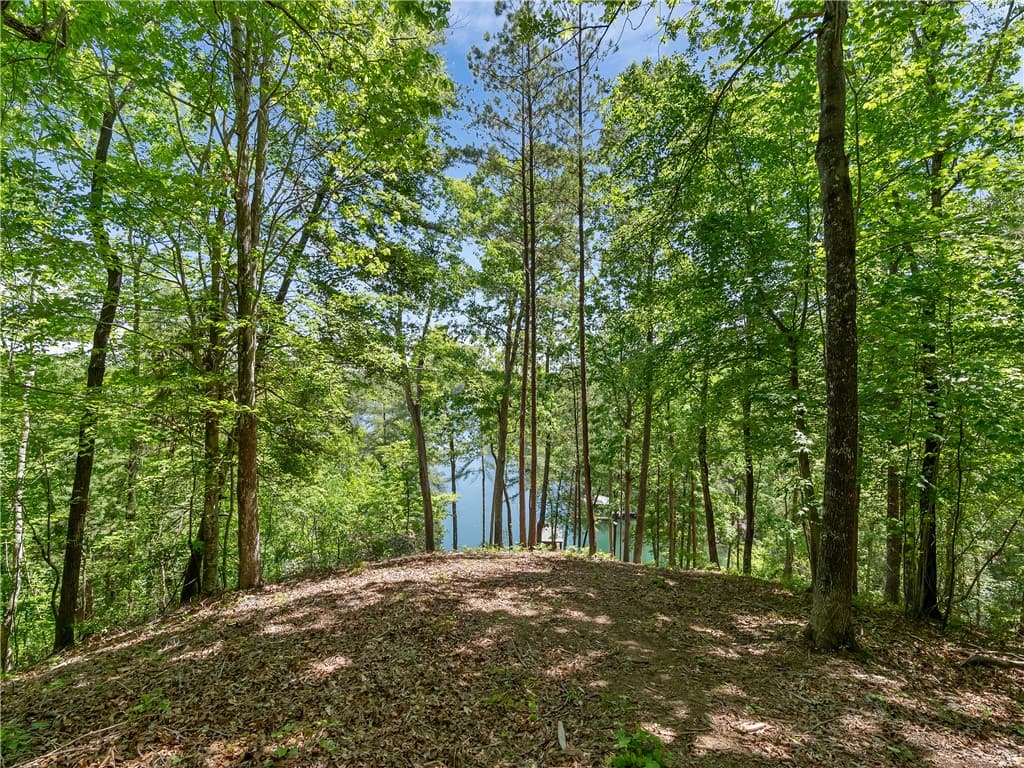 Property image 4 at 703 Misty Dawn Court, Salem, SC 29676