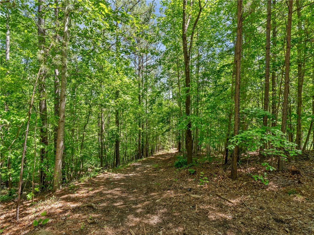 Property image 5 at 703 Misty Dawn Court, Salem, SC 29676